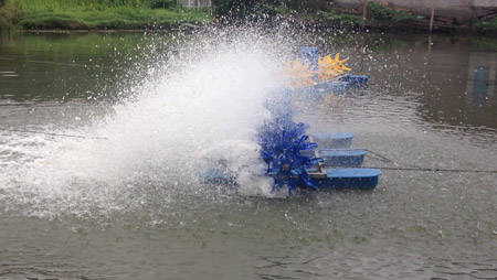 Was bestimmt das Layout von Fischteichbelüftern