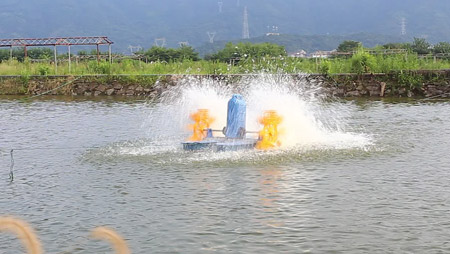 Auswahl und Installation eines Fischteichbelüfters